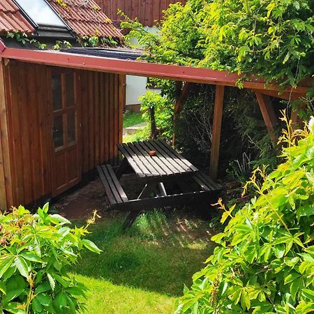Pension U Holzäpfelů - apartmán Cervený Kostelec Exterior foto